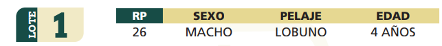 Lote LOTE 1