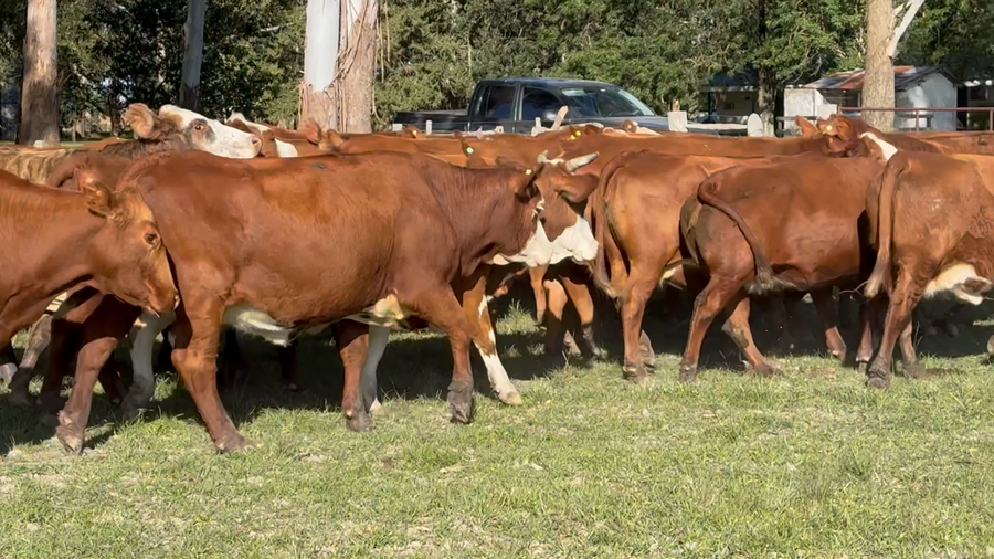 Lote 33 Faena en Corrientes, Mercedes