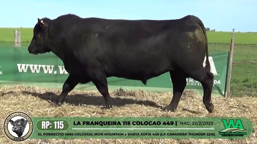 Lote LA FRANQUEIRA 115 COLOCAO 449