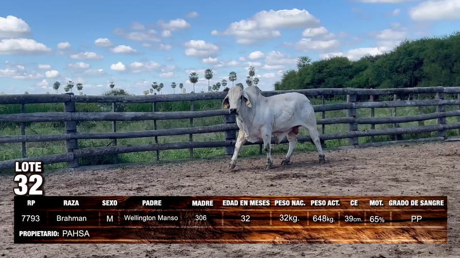 Lote Brahman