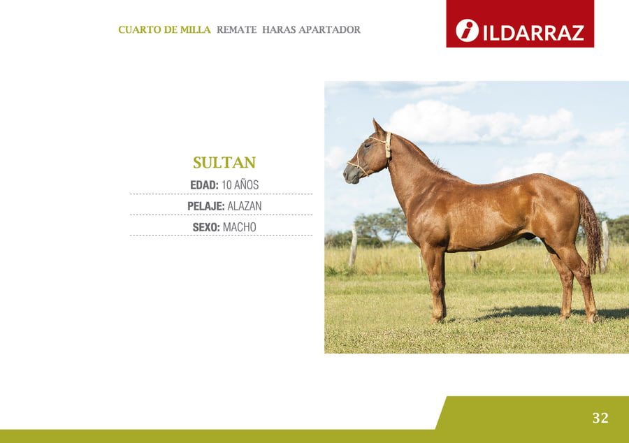 Lote SULTAN