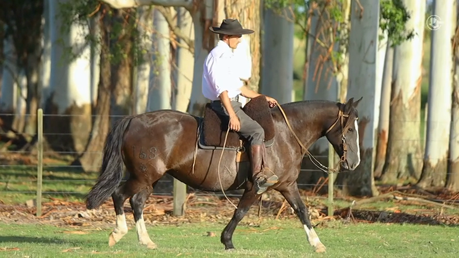 Lote Rincon La Martina - Cabaña La Higuera