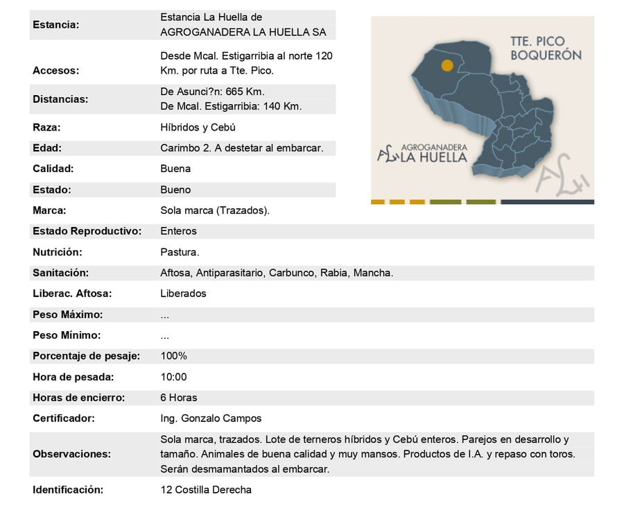 Lote Lote 8