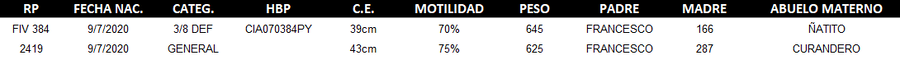 Lote LOTE 39 - DUO