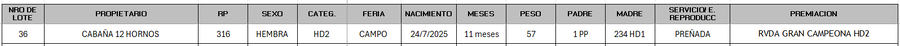 Lote LOTE 36 - CAMPO