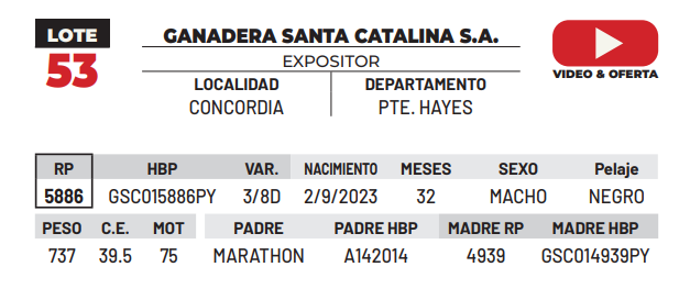 Lote LOTE 53 -DE CAMPO