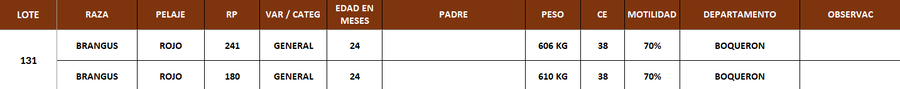 Lote LOTE 131