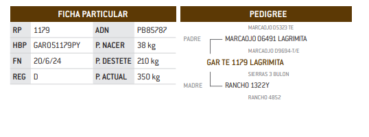 Lote LOTE 20