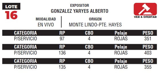 Lote LOTE 16- EN VIVO