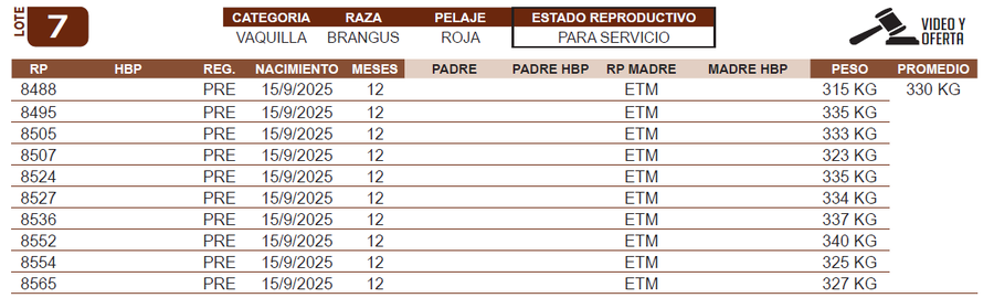 Lote LOTE 7