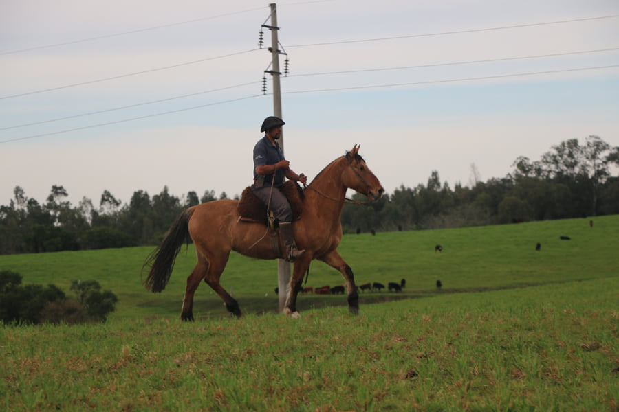 Lote CARTUCHERA DEL CONVENTOS