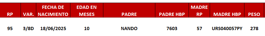 Lote LOTE 12 -DE JUNIOR