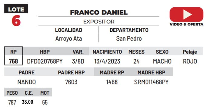 Lote LOTE 6