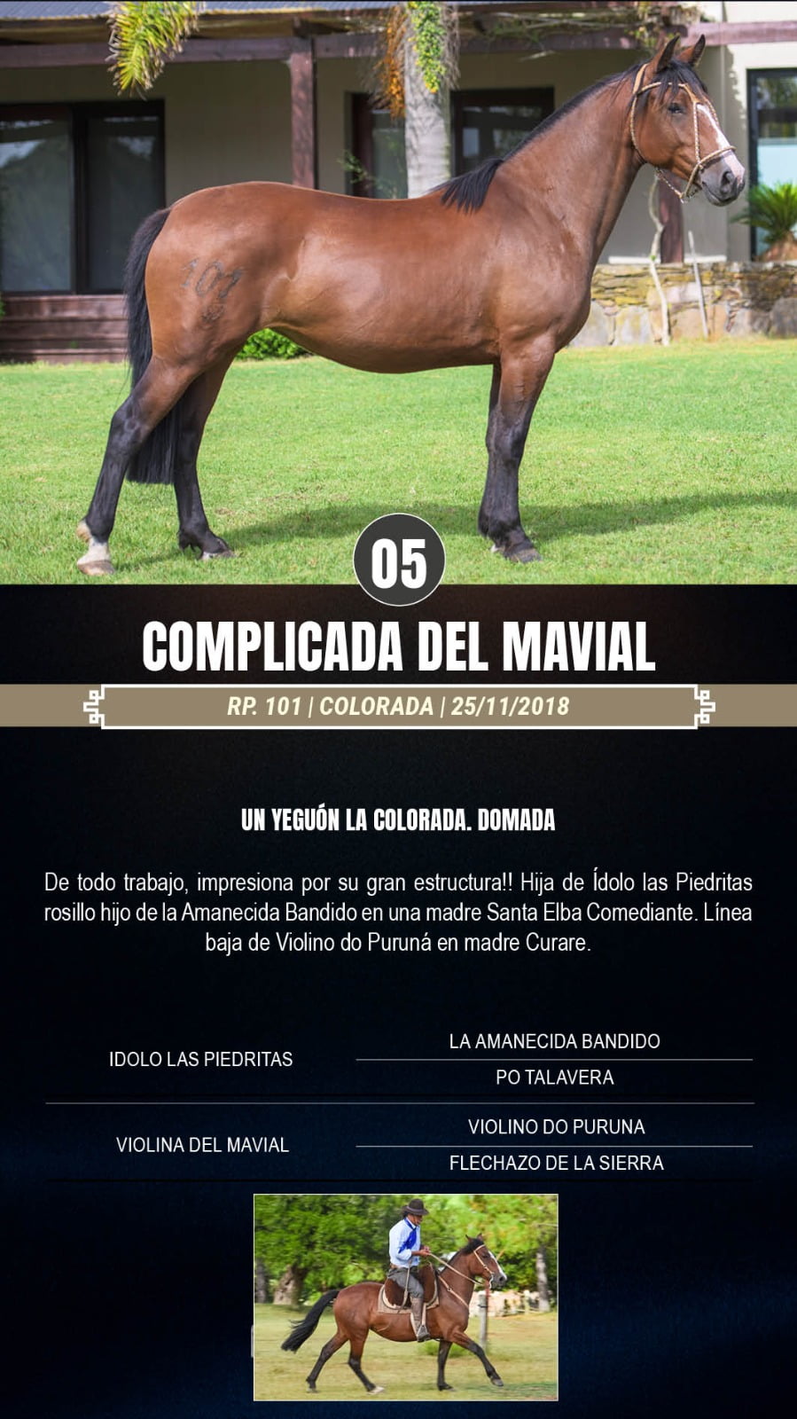 Lote Complicada del Mavial
