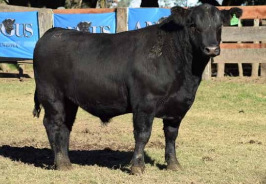 Lote CABAÑA "COEMBOTA" DE CALDERÓN RP 197