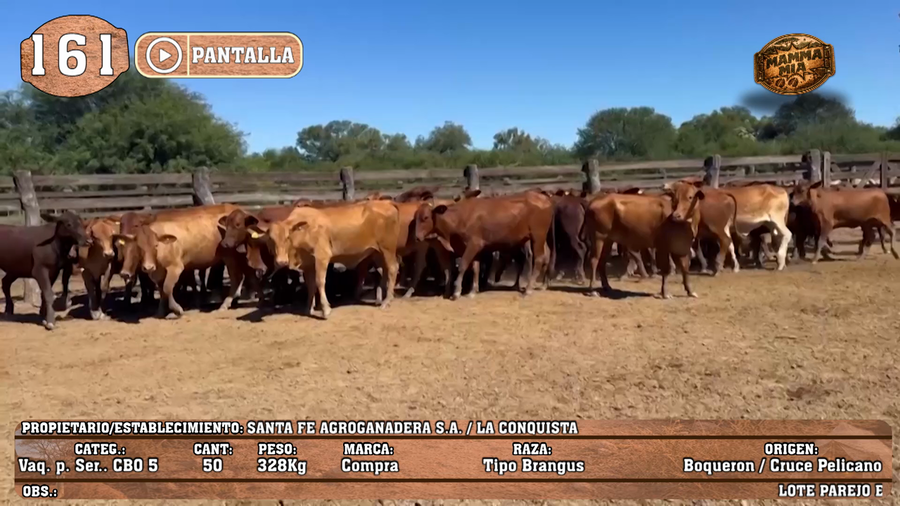 Lote LOTE 161 - PANTALLA