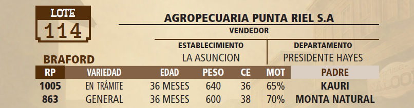 Lote LOTE 114 - PANTALLA