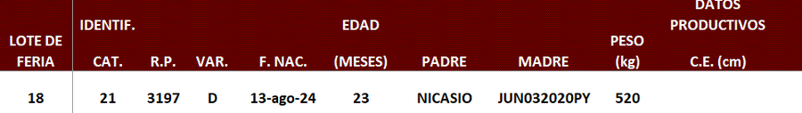 Lote LOTE 18