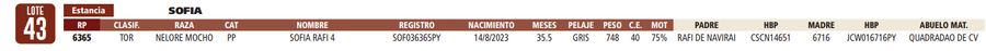 Lote LOTE 43