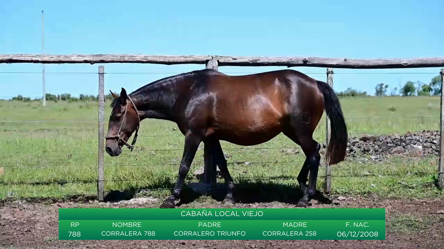 Lote Corralera 788