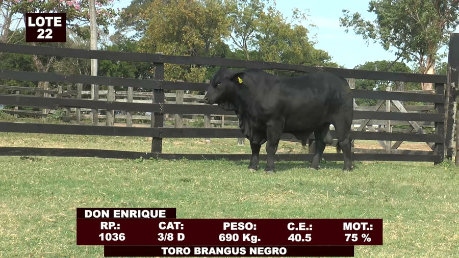 Lote Cabañas de Tradición - Lote 22