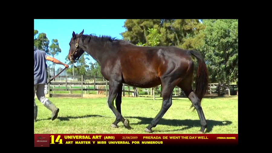 Lote UNIVERSAL ART (ARG)