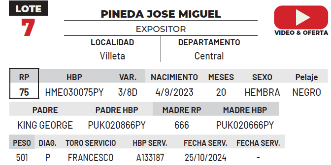 Lote LOTE 7