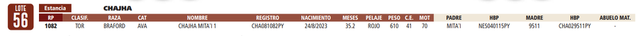 Lote LOTE 56