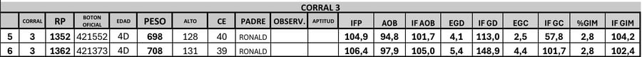 Lote 2 Toros PC