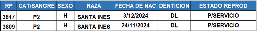 Lote LOTE 63