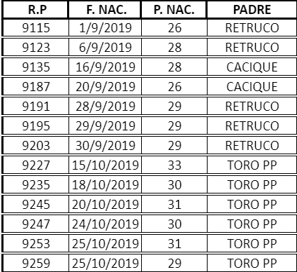 Lote VAQ. A. ANGUS COLORADAS  P. CONTROLADAS C/GTÍA DE PREÑEZ