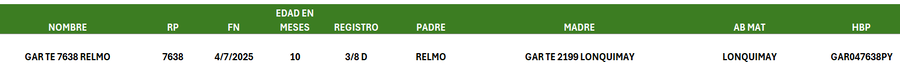 Lote LOTE 18