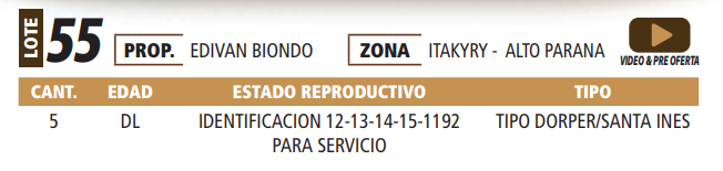 Lote LOTE 55 -POR PANTALLA