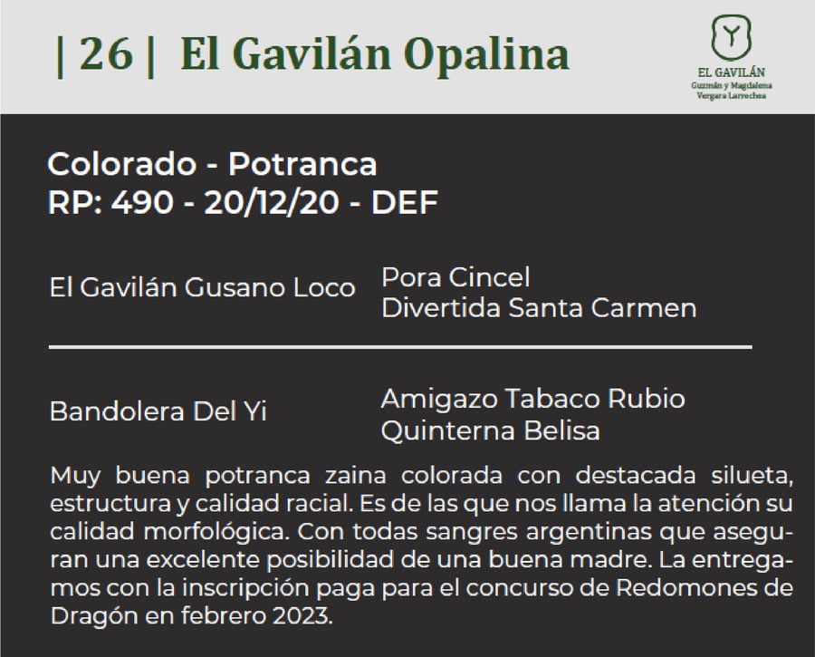 Lote El Gavilán Opalina (RP 490) Cabaña "El Gavilán"