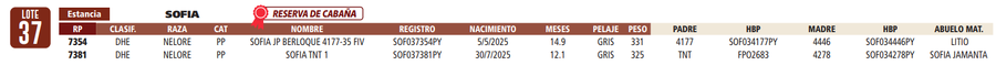 Lote LOTE 37- RESERVA DE CABAÑA