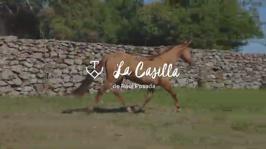 Lote ANARQUIA 710 DE LA CASILLA