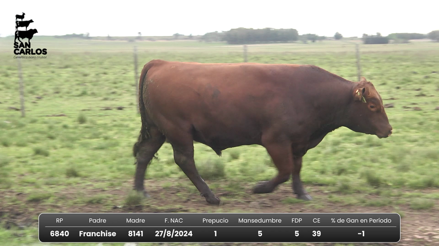 Lote San Carlos