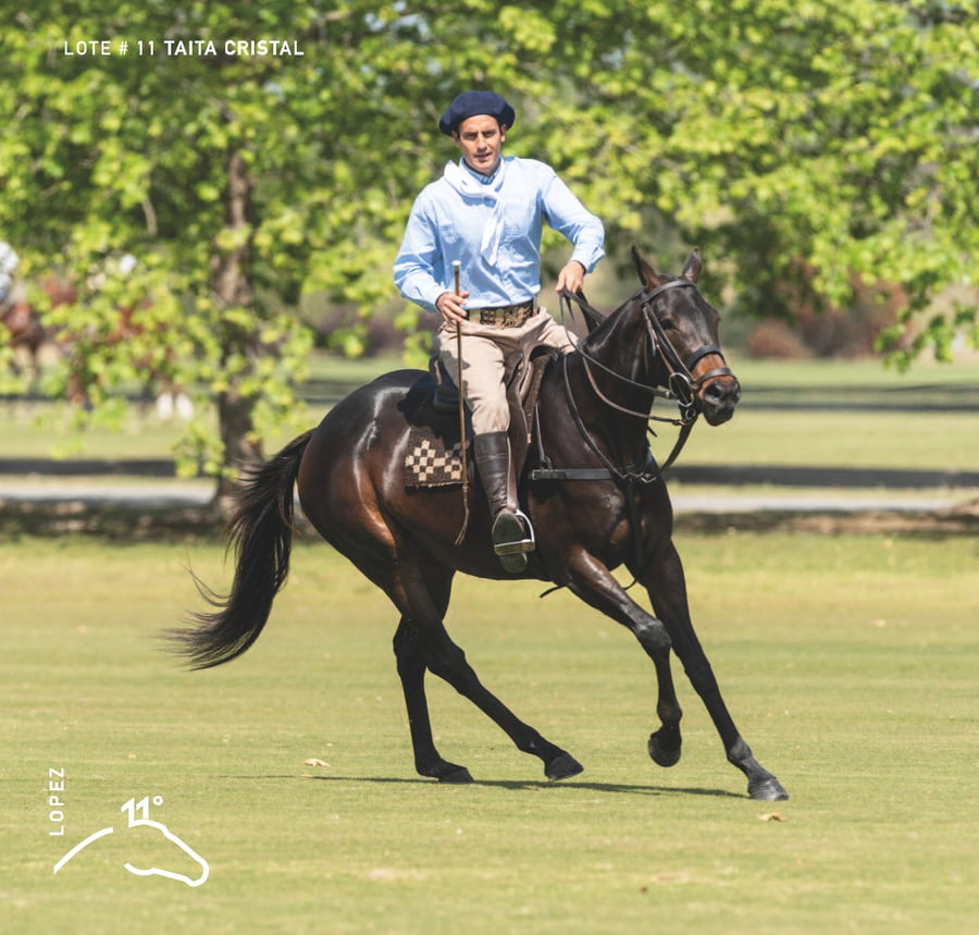 Lote TAITA CRISTAL - T/E (OPEN ILUMINADO - GETE GINEBRA)