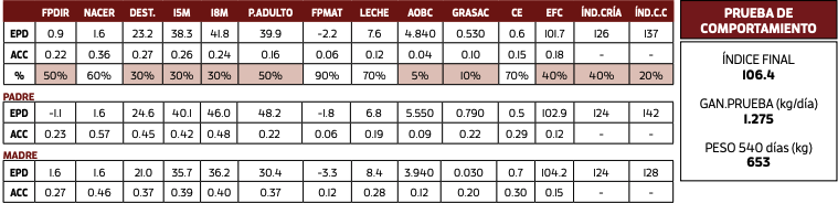 Lote RINCON DF GUICHON BOOMER 1218