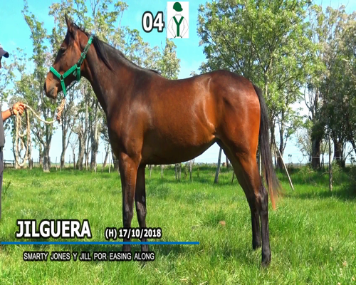 Lote JILGUERA