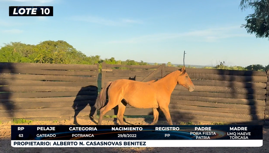 Lote LOTE 10 - DE CAMPO