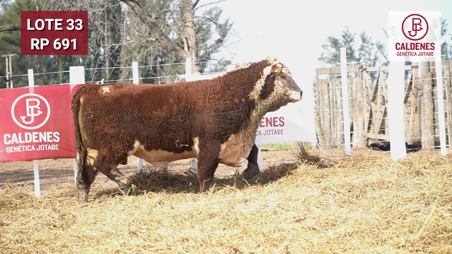 Lote Toro PR