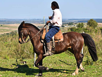 Lote Guidai Quitapenas