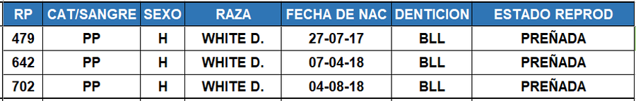 Lote LOTE 38