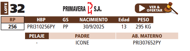 Lote LOTE 32