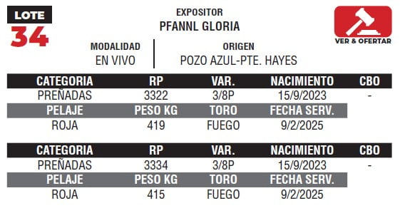 Lote LOTE 34- EN VIVO
