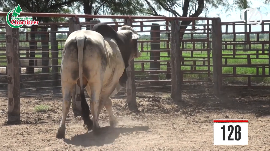 Lote Brahman