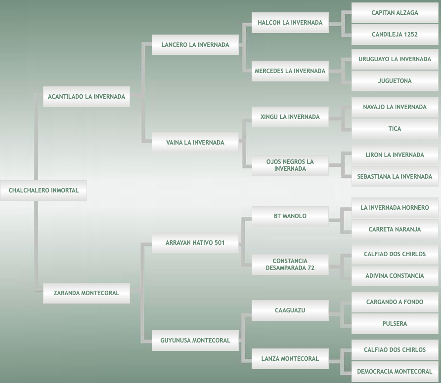 Lote Chalchalero Inmortal
