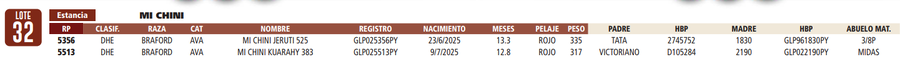 Lote LOTE 32