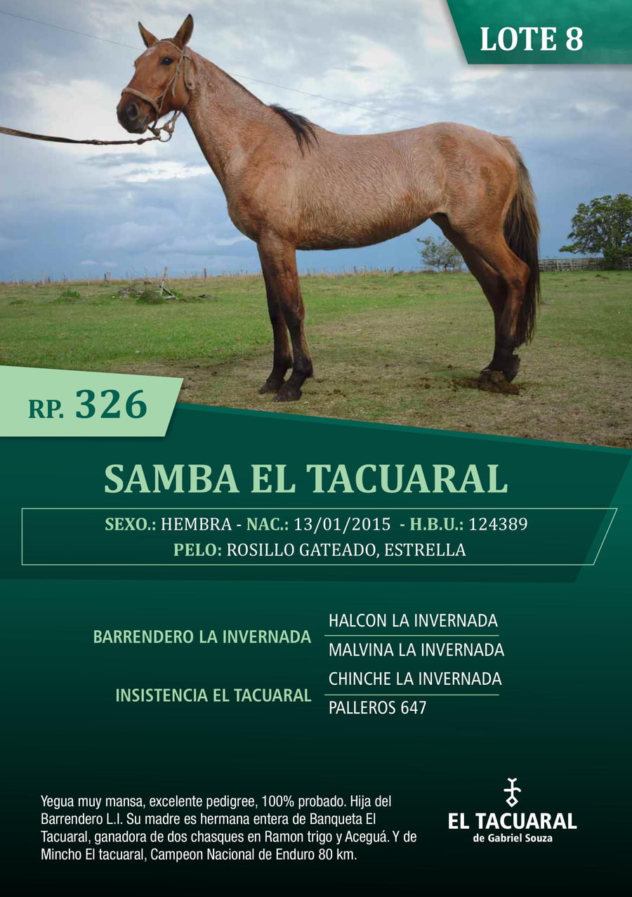 Lote SAMBA EL TACUARAL - R.P. 326